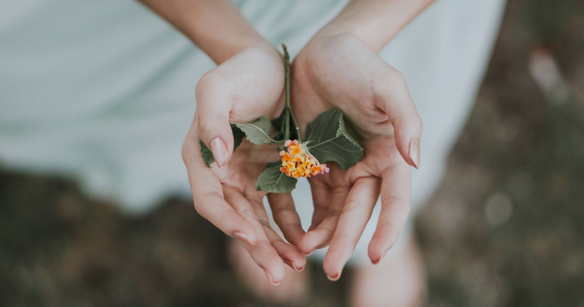 Read more about the article Vsak prst na roki ima svoj namen