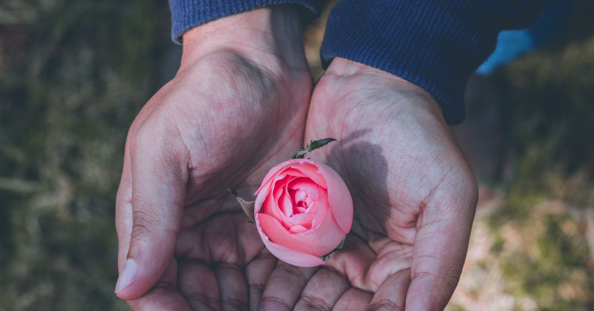Read more about the article Tisti, ki so šli, nam tega ne bodo zamerili
