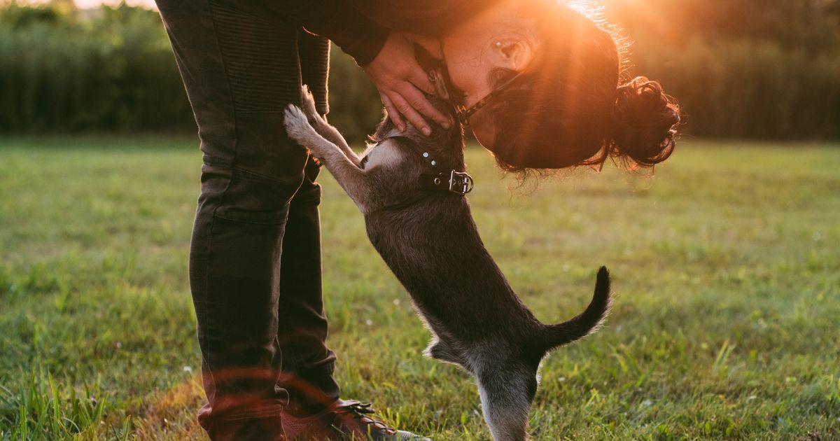 Read more about the article Ni težave, ki je dovolj ljubezni ne bi moglo premagati