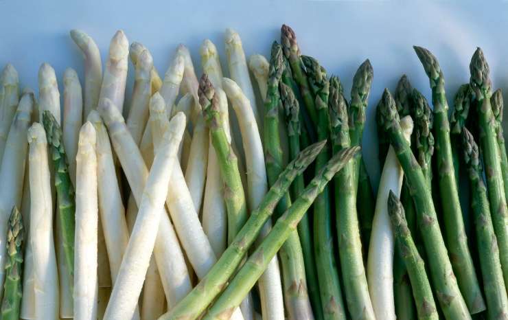 Read more about the article Kakšna je razlika med šparglji in beluši ?