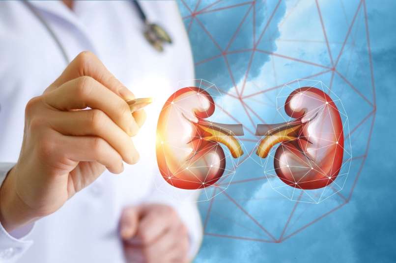 Read more about the article Kronična ledvična bolezen: vsaj tako pogosta, kot je tudi zahrbtna