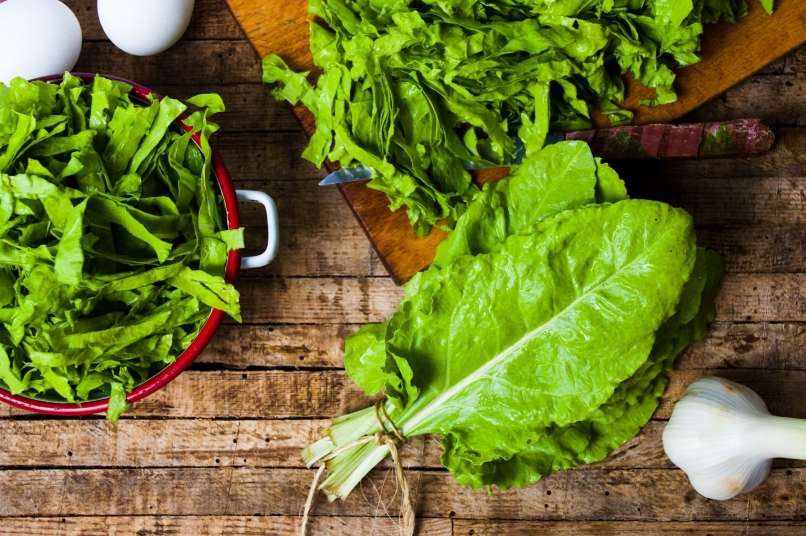 Read more about the article Ste na svojem vrtu že posadili blitvo?