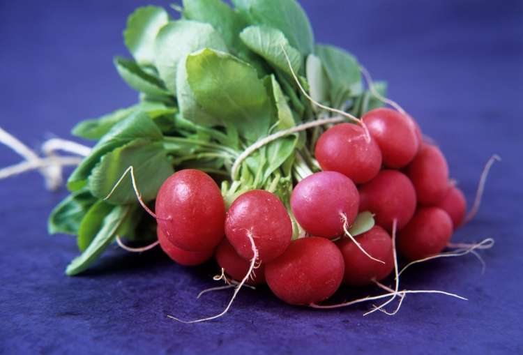 Read more about the article Zakaj bi morali jesti redkvice ?