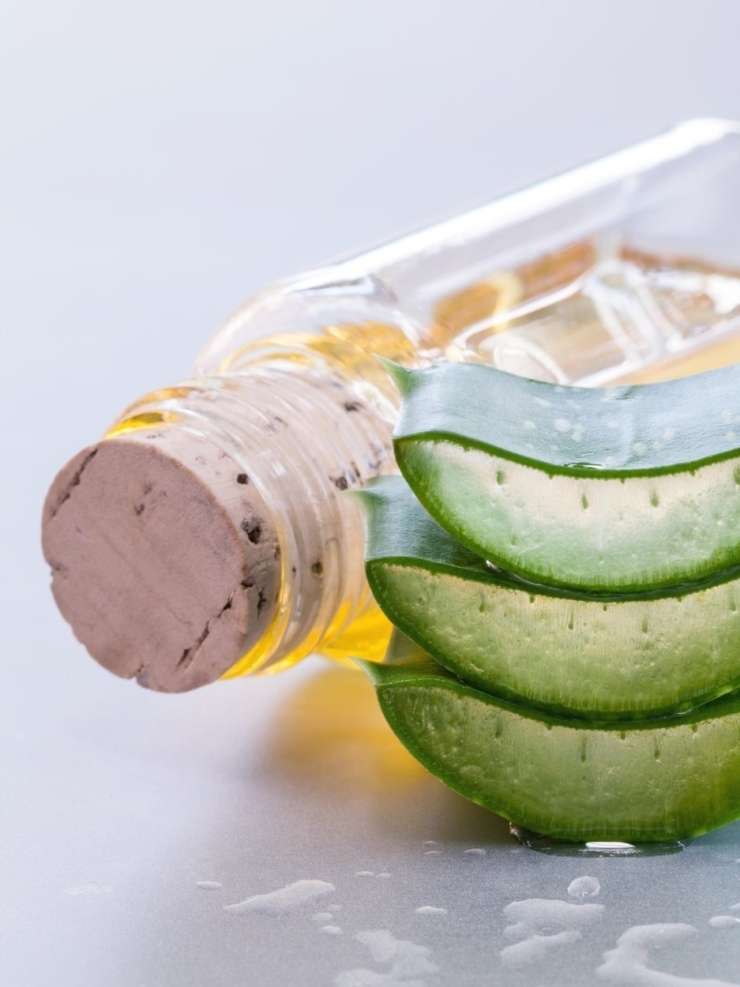 Read more about the article Agavin sirup slaba alternativa naravnemu sladkorju