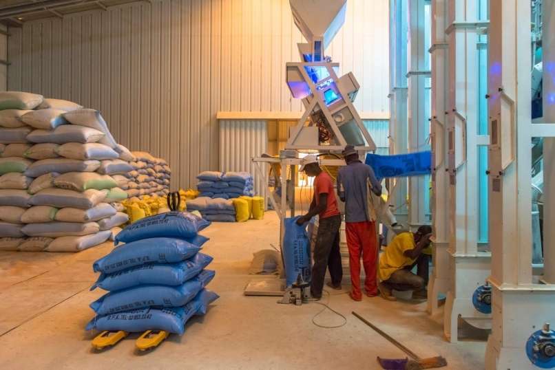 Read more about the article Rešili 300 delavcev, ki so bili tri mesece zaprti v predelovalnici riža