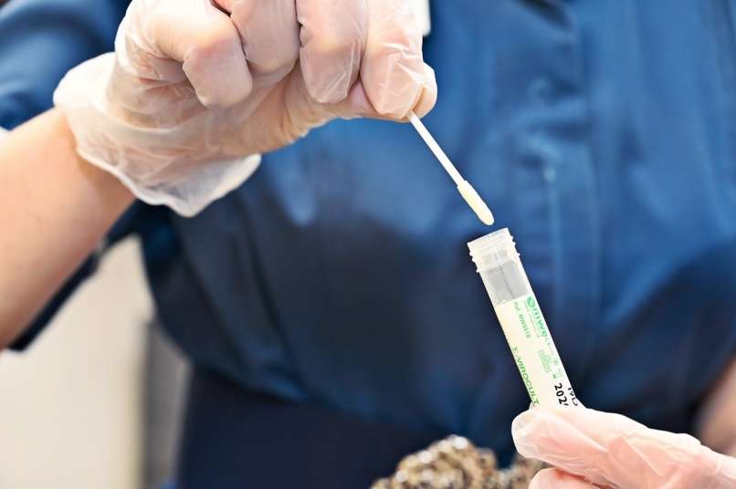 Read more about the article V Nemčiji lahko zdravniki naročijo testiranje tudi za posameznike, ki ne kažejo simptomov okužbe