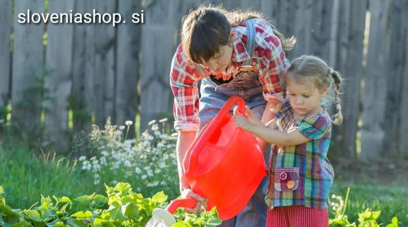 Read more about the article Poletno zalivanje zahteva znanje