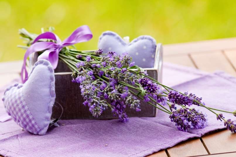 Read more about the article Pomirjujoča sivka: preženite izčrpanost in poskrbite za okras doma