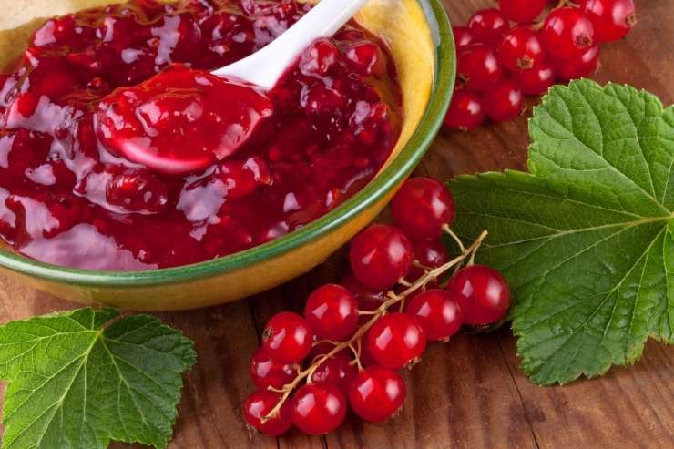 Read more about the article Preprost recept za ribezovo marmelado