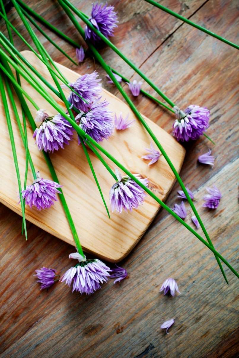 Read more about the article Vsestransko uporabno zelišče z domačega vrta