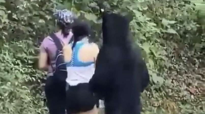 Read more about the article Prijaznega medveda Čipija so kastrirali