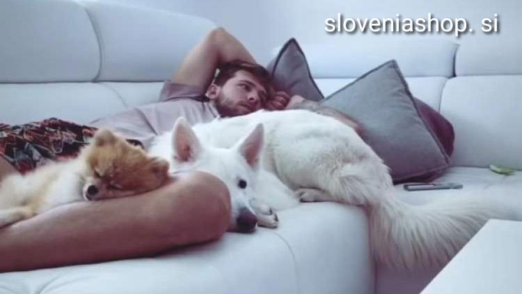 Read more about the article Luka Dončić že nazaj v domovini ?