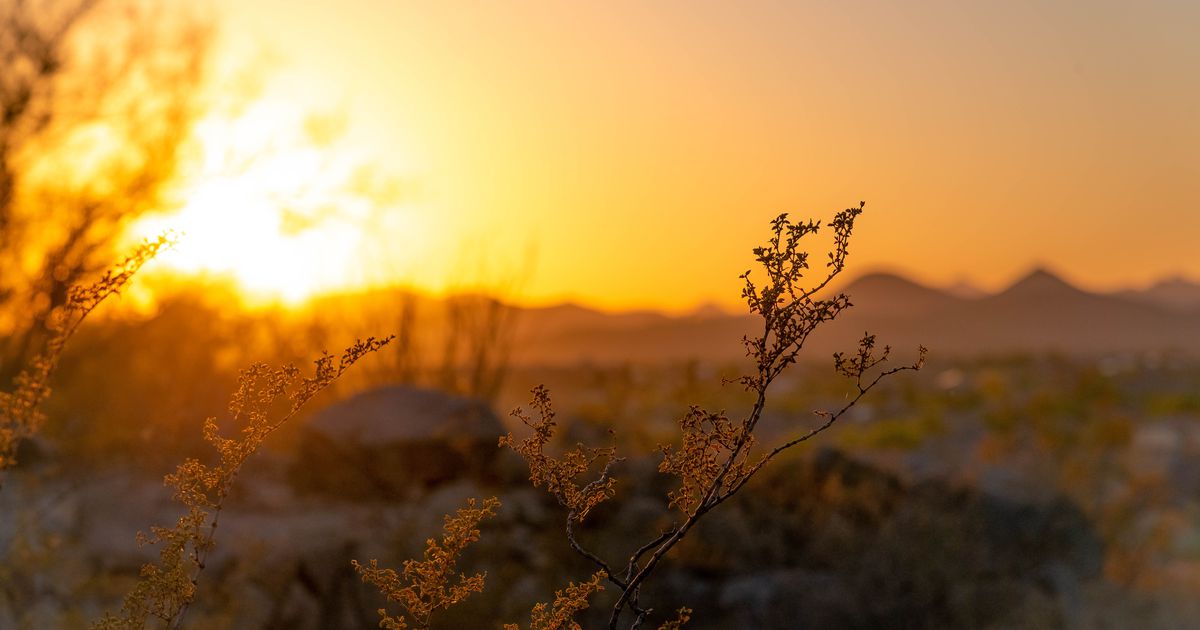 Read more about the article Kako je Rumi dojemal boga?