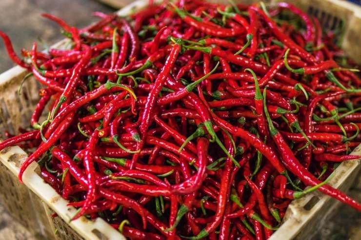 Read more about the article Ste sploh vedeli, kako učinkuje pekoča paprika ?