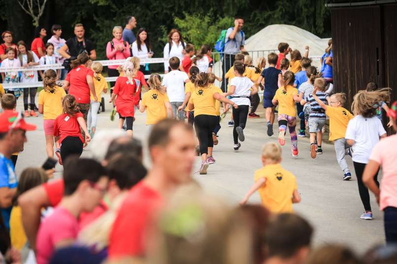 Read more about the article Za boljšo oskrbo novorojenčkov