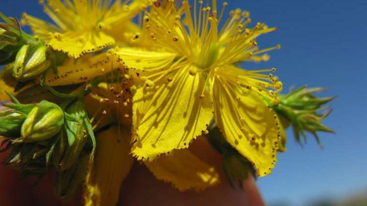 Read more about the article Depresija – katera hrana pomaga ?