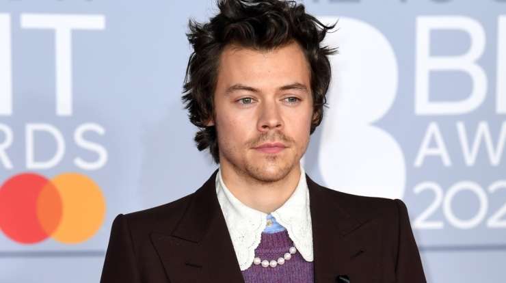 Read more about the article Pevec Harry Styles investitor najsodobnejšega gradbenega projekta