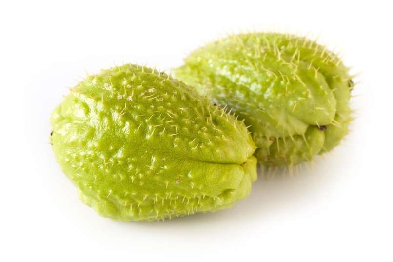 Read more about the article Zdaj je čas za bodeče čajote
