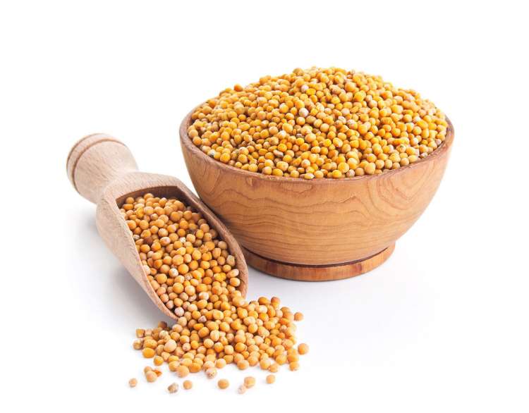 Read more about the article Kako zdrava je gorčica ?