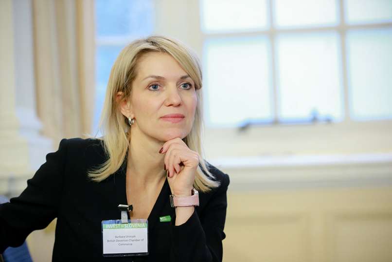 Read more about the article Brexit pomeni brexit. In kaj to pomeni za tam živeče Slovence?