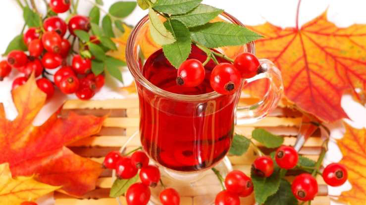 Read more about the article Prednosti uživanja šipkovega čaja