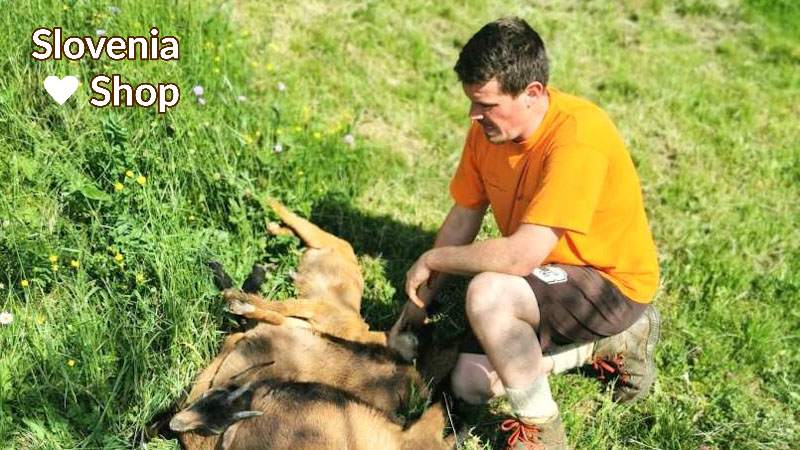 Read more about the article »Poskusili smo zlepa, pa ne gre, zato krivca iščemo z nadzornimi kamerami«