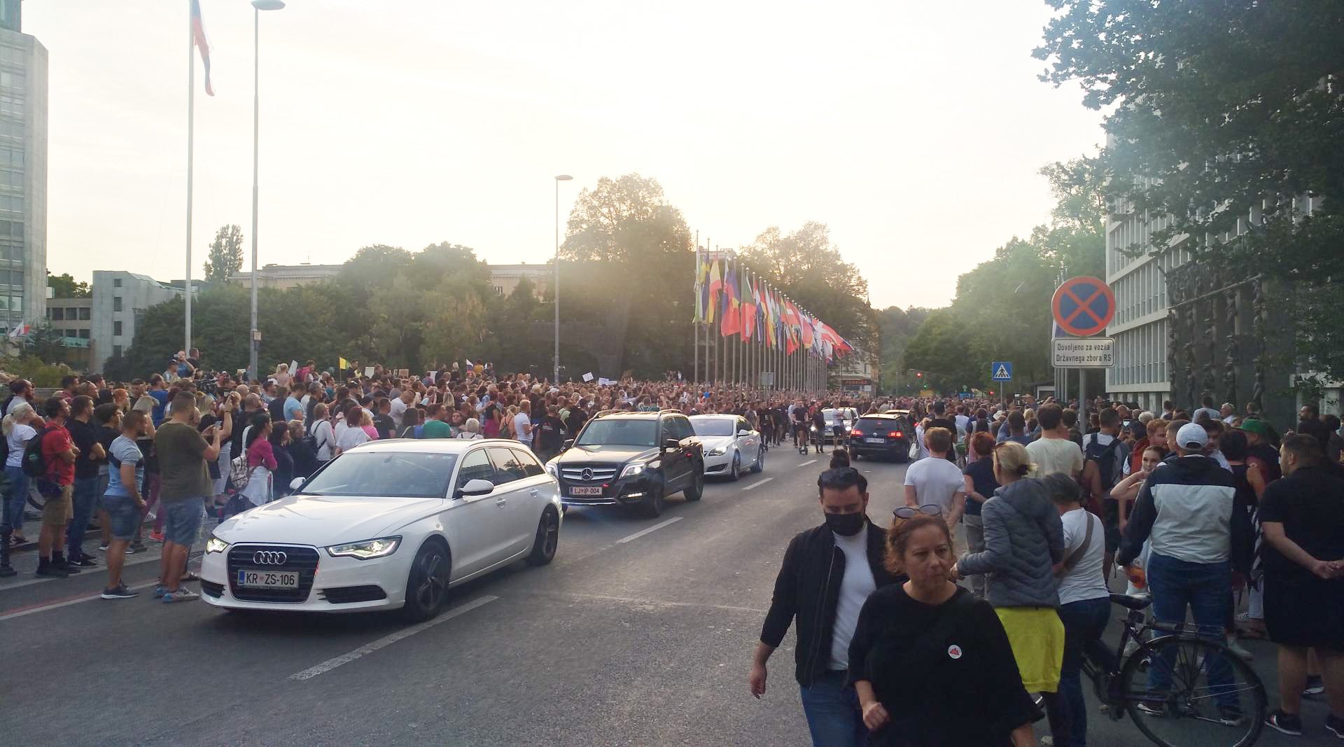 Na protestu so bili kritični do vlade in aktualnega sklica državnega zbora, ki da ne uživata več zaupanja ljudi, zato so jih med skandiranjem pozvali k odstopu.Zoran Stevanović iz stranke Resni.ca je ocenil, da si želi oblast le spreti narod med sabo.