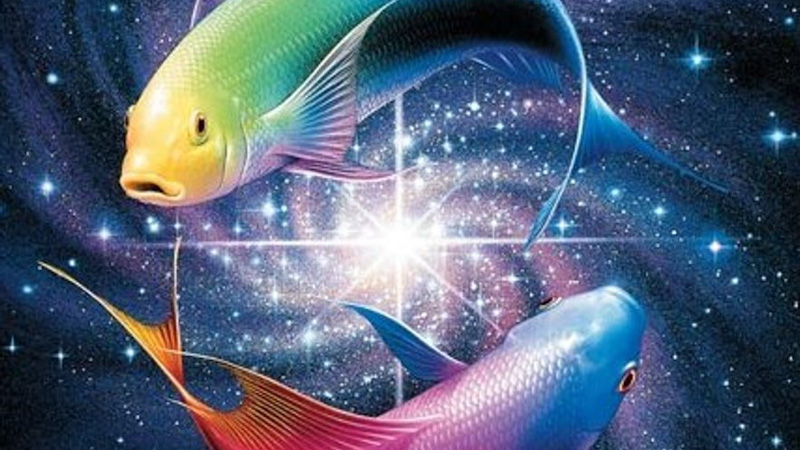 Read more about the article Vse to razumete, če ste rojeni v znamenju rib