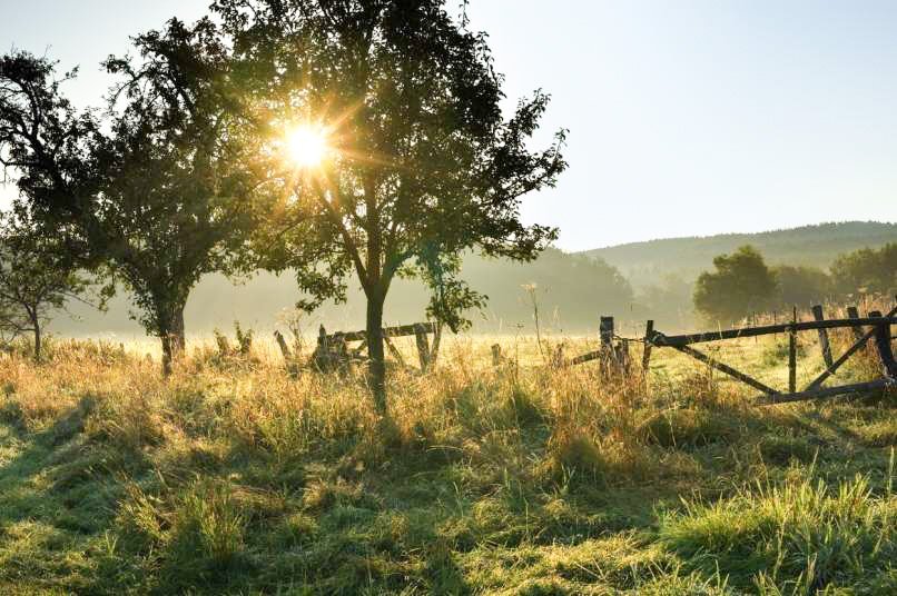 Izkoristite soboto, v nedeljo bo sonca le za vzorec Zvečer in ponoči bo na Primorskem pretežno jasno, drugod bo zmerno do pretežno oblačno. Manj oblačnosti bo v severni Sloveniji. Zjutraj bo ponekod po nižinah megleno. Najnižje jutranje temperature bodo od 3 do 9, ob morju okoli 13 stopinj Celzija.