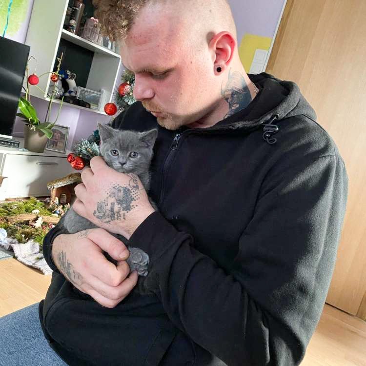 Denis Tajhman je svojo mačjo prijateljico poimenoval Domina, slednja pa je na družbenih omrežjih že prava mala zvezda. Ker se je že od začetka posebno vedla, sem jo pričel snemati in fotografirati, vse to pa je privedlo do tega, da je postala prepoznavni lik mojega podjetja Vioria.