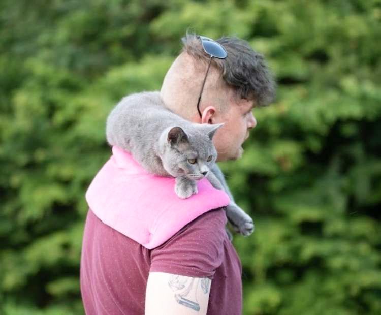 Domina se je skotila natanko na tisti dan, ko je Denis Tajhman Metki na zmenku vedeževal iz kart in napovedal rojstvo, kar bi lahko pomenilo tako prihod dojenčka, kot hišnega ljubljenčka.