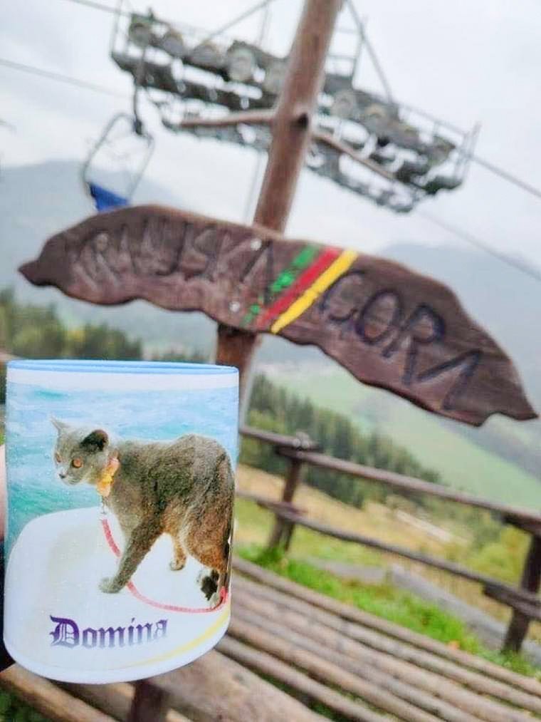 Denis Tajhman - Vedno je Domina tudi sama splezala na mojo ramo in opazovala okolico z višine. Zelo tudi uživa na sprehodih in obiskih pri prijateljih, z menoj gre tudi na izlete in na morje. Domina je že od vsega začetka nekaj posebnega, zna celo potrkati po vratih, ko kaj hoče