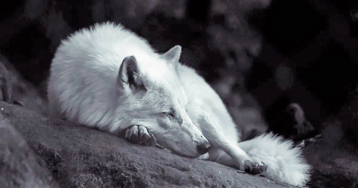 Stara indijanska zgodba