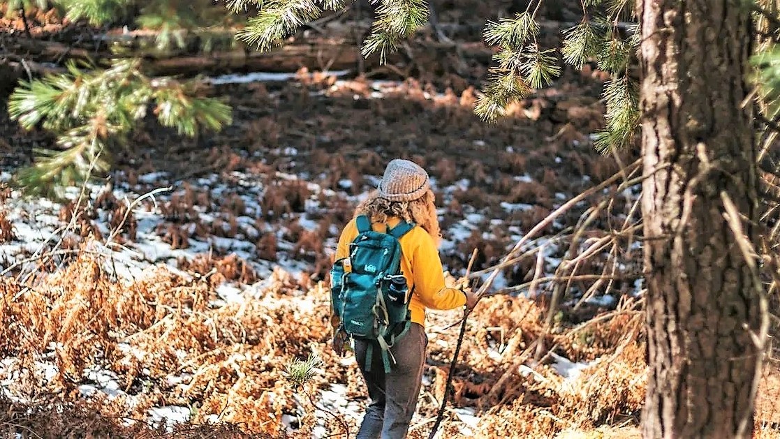 Read more about the article Da bi lažje prebrodila te čase, sem se zatekla k DREVESOM